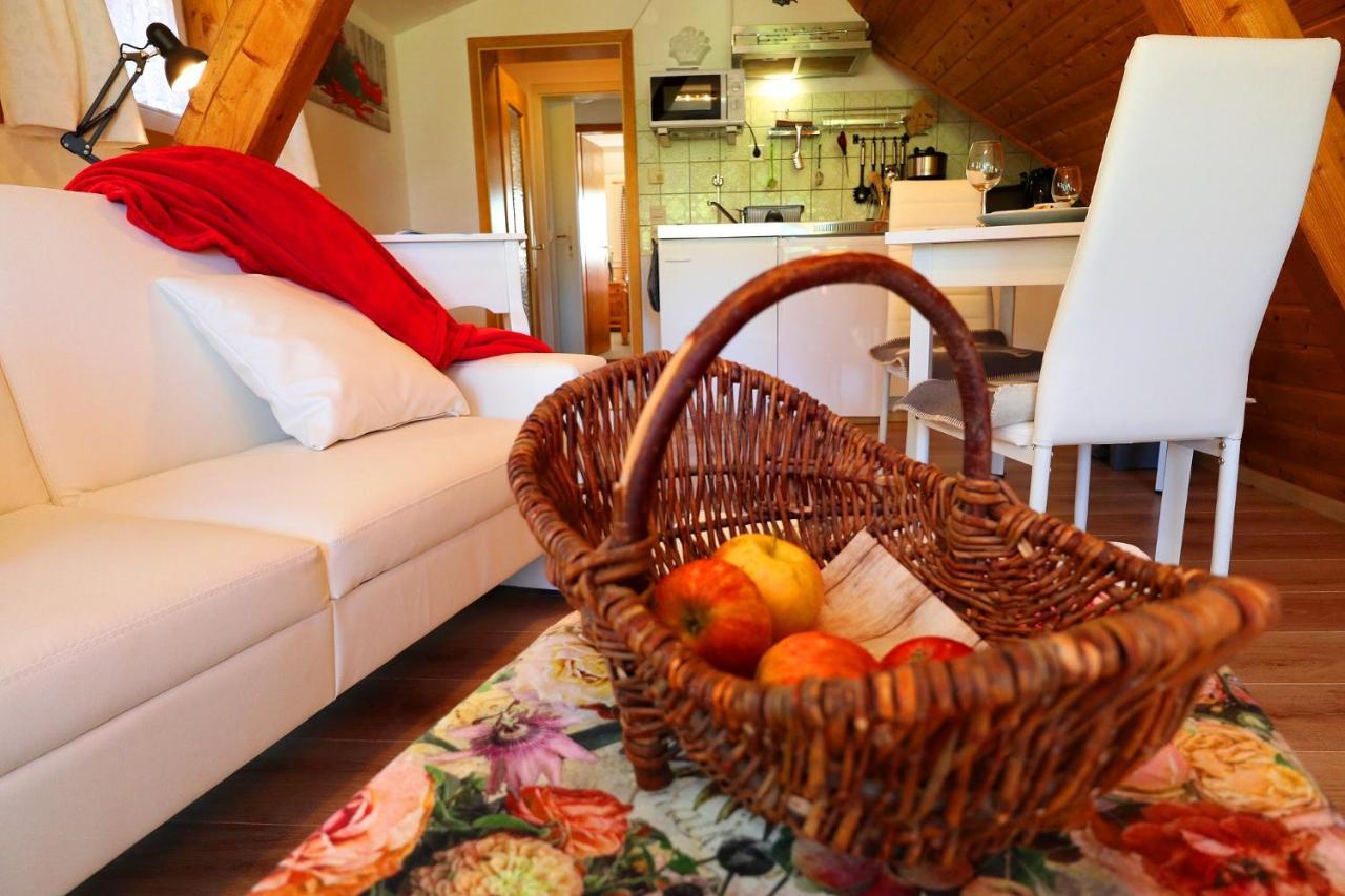 Landhaus-Vintage Fe-Wo-Apartment 5 Schluchsee Luaran gambar